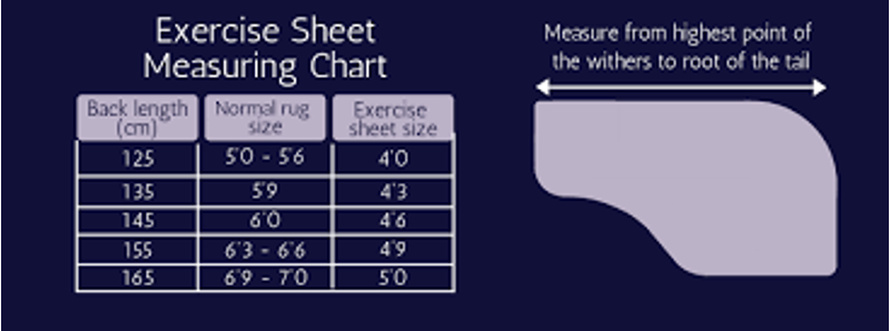 EQUIFLECTOR Waterproof Exercise Sheet Bright Orange -1